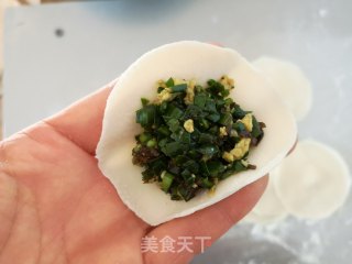 韭菜鸡蛋饺子的做法步骤：9