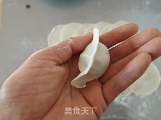 韭菜鸡蛋饺子的做法步骤：10