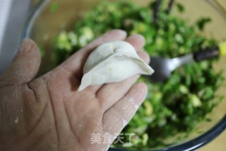 猪肉鸡蛋芹菜饺子的做法步骤：9