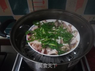 清蒸脆肉皖鱼的做法步骤：11