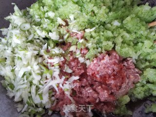 芹菜猪肉饺子的做法步骤：4