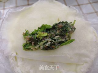 荠菜春卷的做法步骤：7