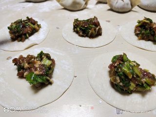 芹菜肉末鸡蛋饺子的做法步骤：3