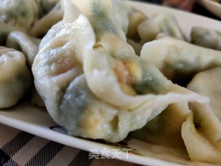 韭菜虾仁鸡蛋饺子的做法步骤：18