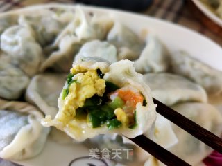 韭菜虾仁鸡蛋饺子的做法步骤：19