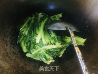 蒜香油麦菜的做法步骤：7