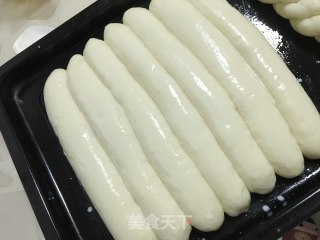 奶油蜂蜜排包（中种法）的做法步骤：12