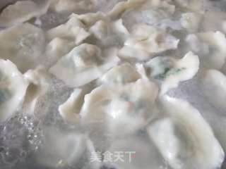 素三鲜水饺的做法步骤：8