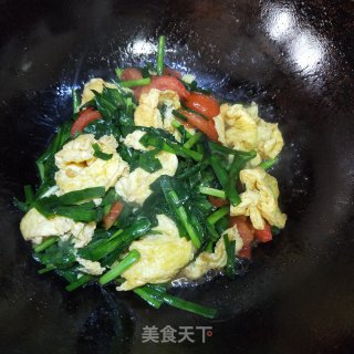 韭菜番茄炒鸡蛋的做法步骤：9