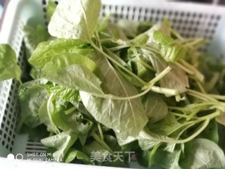 凉拌苋菜（宁都菜）的做法步骤：2