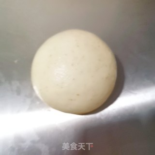 全麦吐司（波兰种）的做法步骤：10