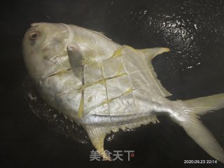 香煎金鲳鱼的做法步骤：6