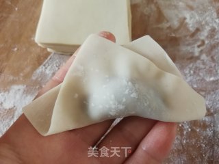 麻辣平菇猪肉馄饨的做法步骤：6