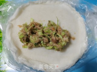 包菜肉馅春卷的做法步骤：5