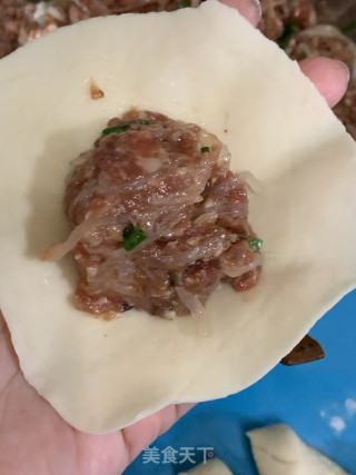 鲜肉萝卜丝小笼包的做法步骤：10