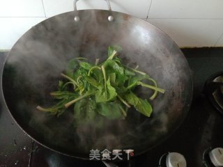 粉丝拌菠菜的做法步骤：3