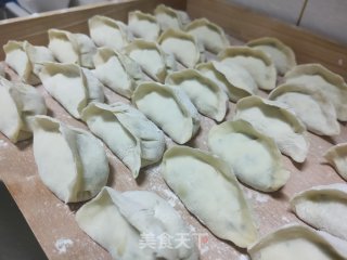 猪肉茴香水饺的做法步骤：11