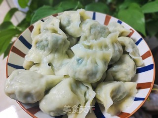 猪肉茴香水饺的做法步骤：12