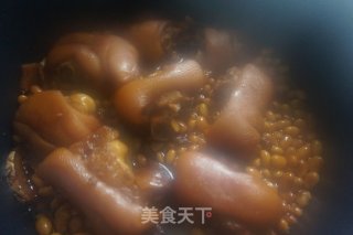 美容养颜食补平民菜——黄豆炖猪蹄的做法步骤：14