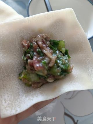 馄饨~小白菜肉的做法步骤：4