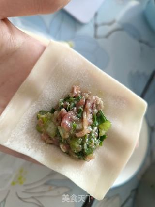 馄饨~小白菜肉的做法步骤：5