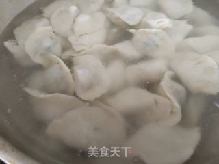 荠菜饺子的做法步骤：10